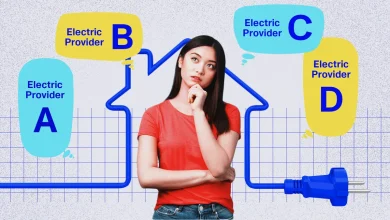 Choose Wisely: Your Guide to Electricity Providers