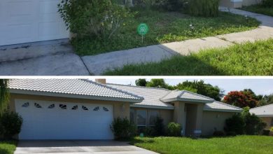 Driveway Cleaning
